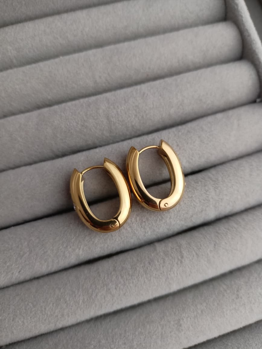 Thick Hoop earrings