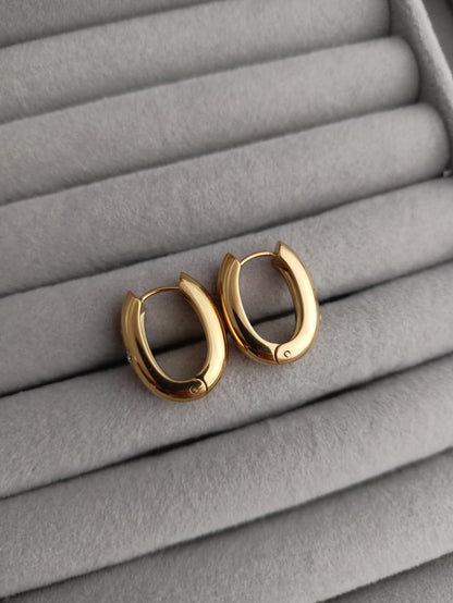 Thick Hoop earrings